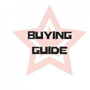 MMA Gloves Buying Guide